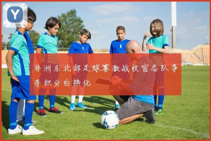 非洲东北部足球赛激战收官各队争夺积分白热化