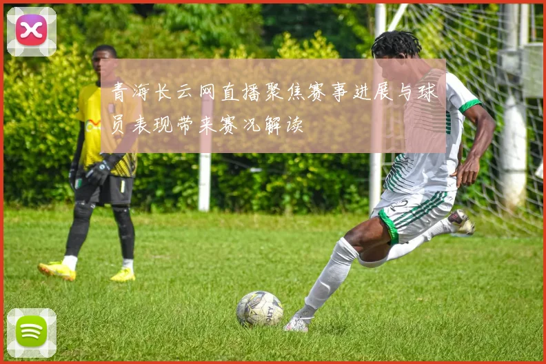 青海长云网直播聚焦赛事进展与球员表现带来赛况解读