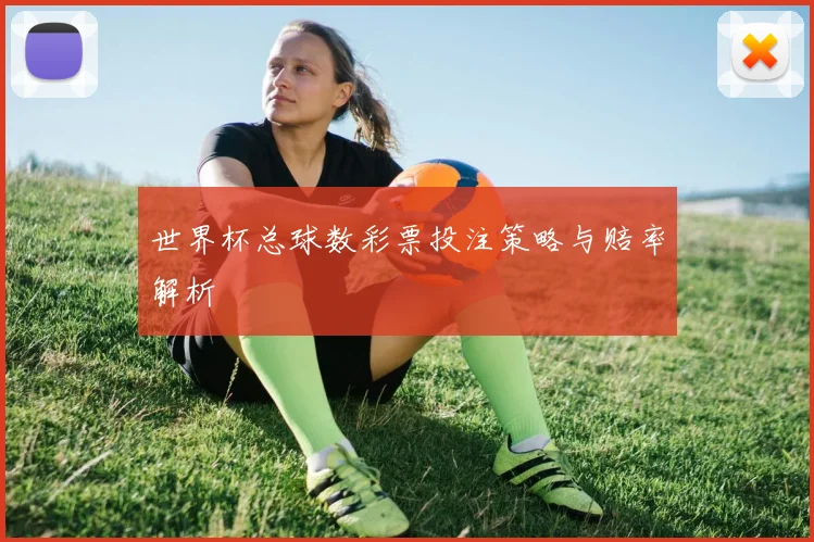 世界杯总球数彩票投注策略与赔率解析