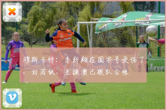 穆斯卡特：李新翔在国字号受伤了，刘若钒、王振澳已跟队合练